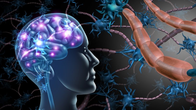 Descubra com Ciro Antônio Taques como a neuroplasticidade abre caminhos para superar desafios neurológicos.